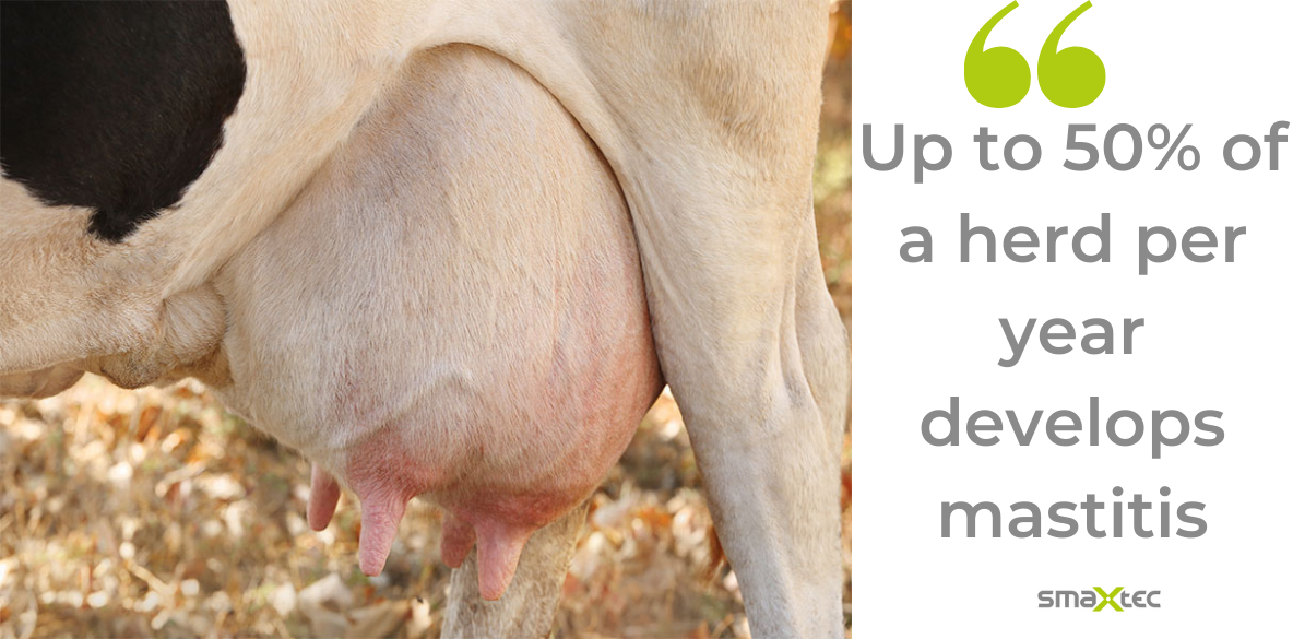 Detecting Mastitis Know The Facts Farm Compare